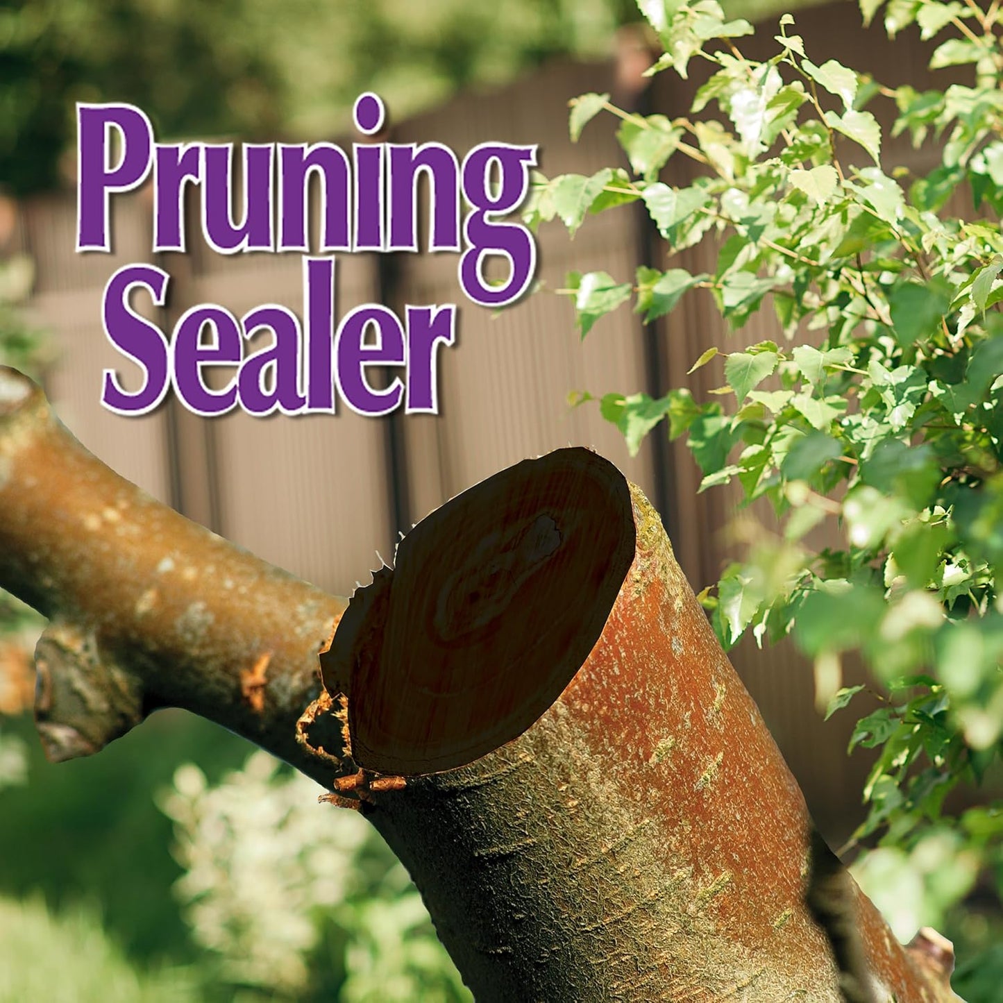 Garden Rich Pruning Sealer with Brush Top Applicator, 16 Oz Ready-To-Use Protective Seal for Trees, Shrubs, Roses