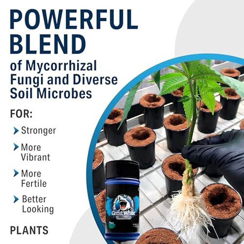 Plant Success Great White Mycorrhizal Fungi 9-Strain 387 Assorted Sizes