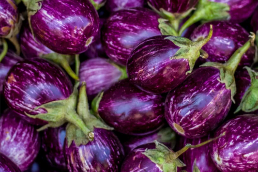 Round Purple Eggplant Seeds | Indian Eggplant Seeds | Heirloom Vegetable Seeds | Solanum melongena