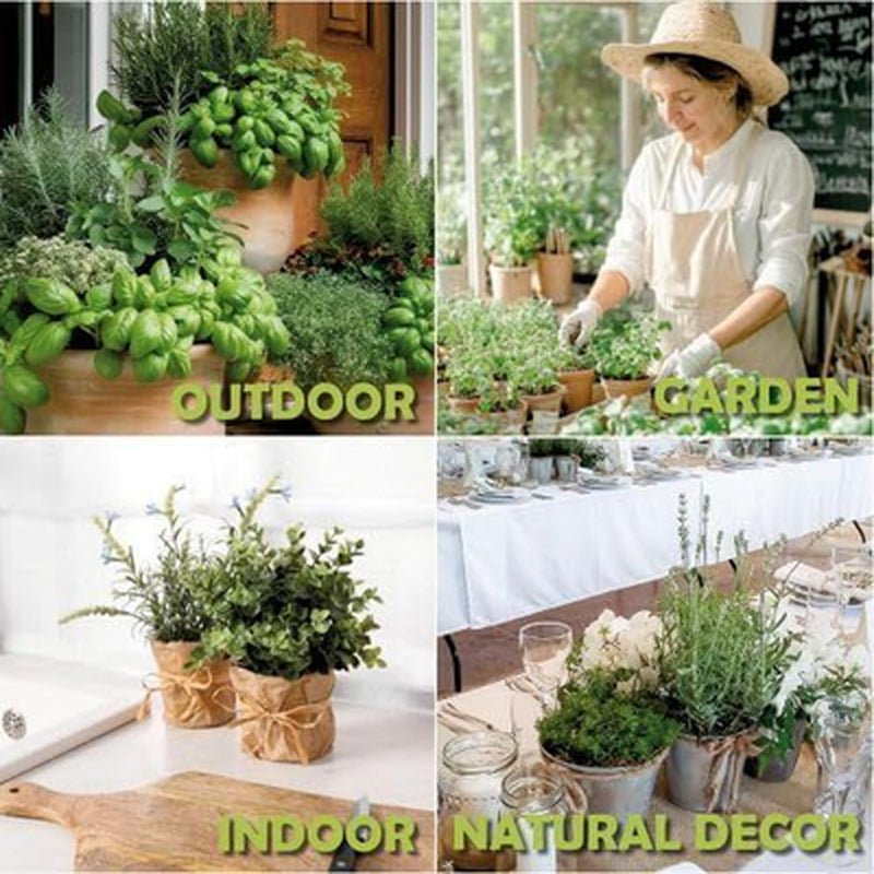 10 Herb Window Garden Kit Indoor - Seeds for & 10 Herb Kit