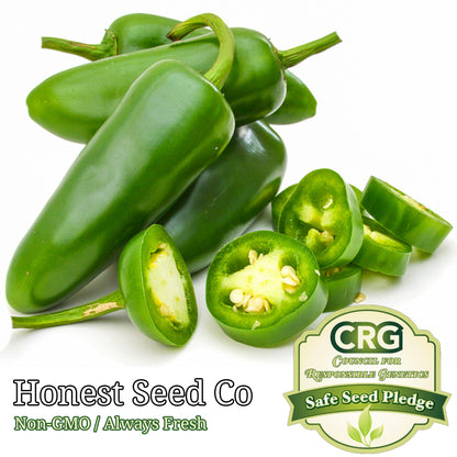 Jalapeño M Pepper Seeds 100+ Non-Gmo Heirloom Hot Spicy Salsa Pickling