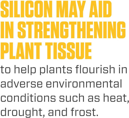 Silica Blast, Plant Supplement, 0-0-0.5, 1 Qt.