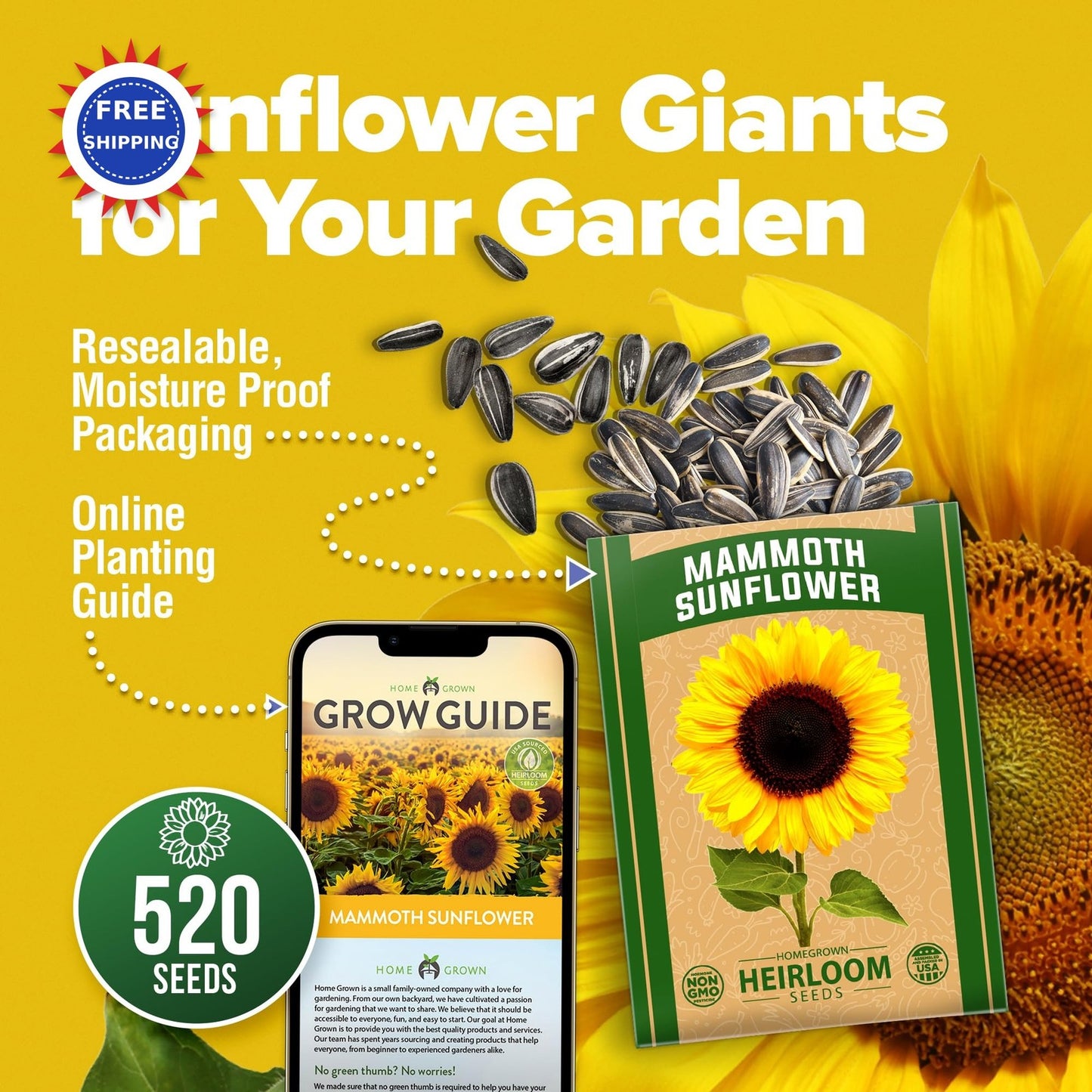 Mammoth Sunflower Seeds 520+ Giant for Planting Bulk Packet Heirloom HOME GROWN