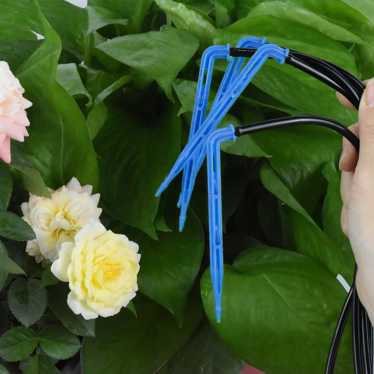 Greenhouse Drip Irrigation 4-Way 3/5Mm 2-Way Drip Arrow Transmitter Garden Automatic Watering System Potted Plant 10/20Set