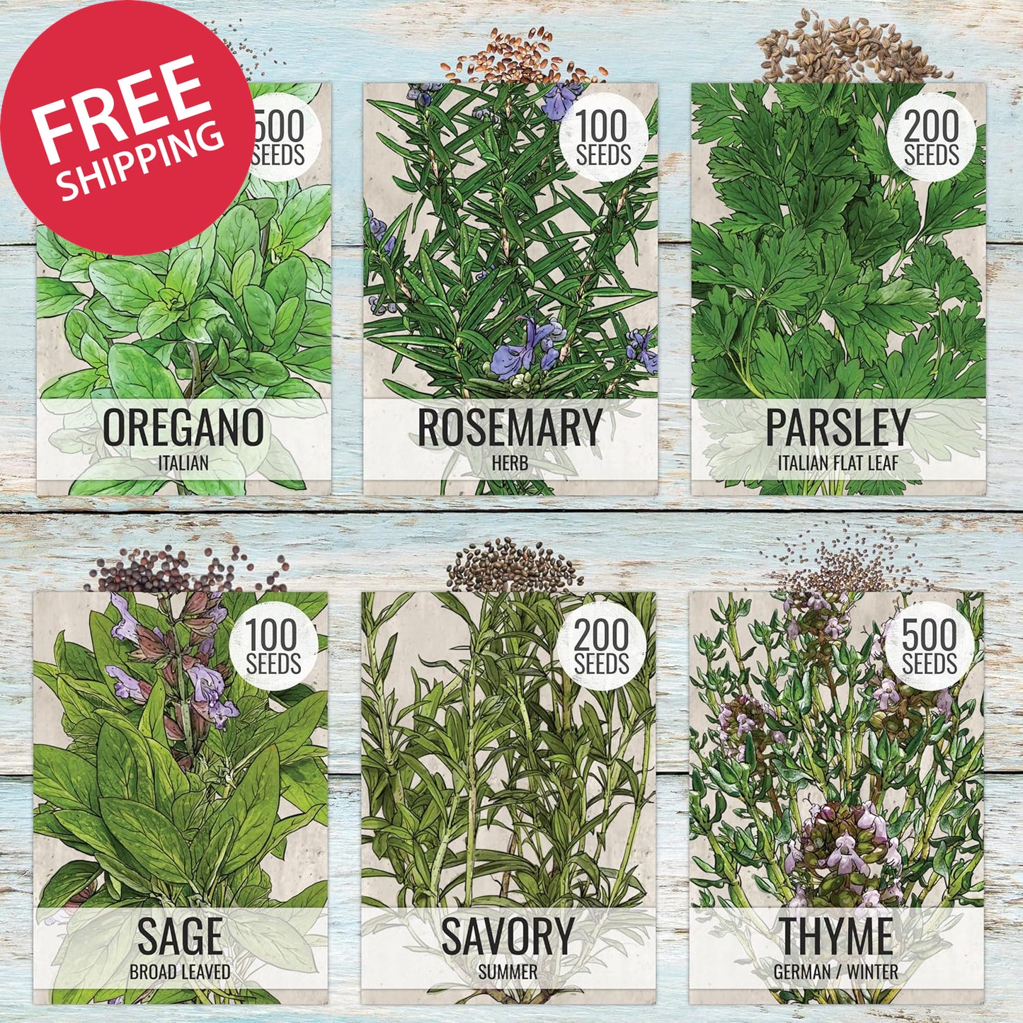 Herb Seeds Variety Pack Culinary Herb Collection (12 Individual Packets for Plan