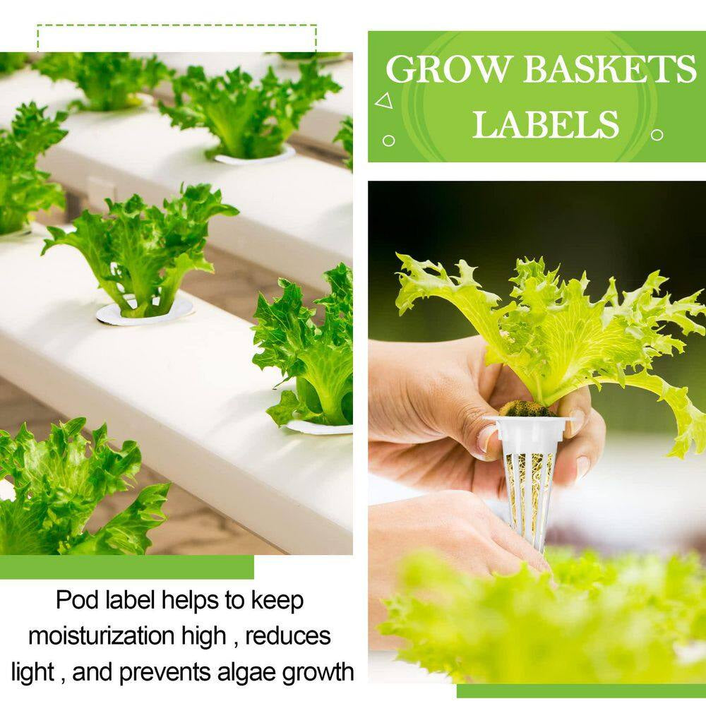 0.5 Inch, White Plastic Hydroponic Plant Basket with Seed Labels for Indoor/Outdoor Gardening (50-Pack)