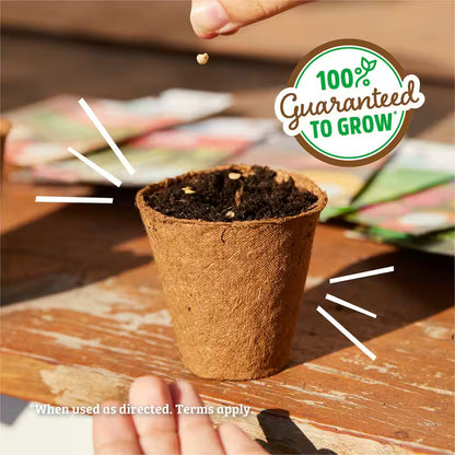 Organic Jalapeno Pepper Seed (1-Pack)