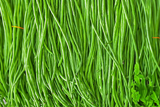 Yardlong Bean Seeds | Non-GMO Asparagus Bean, Snake Bean, Chinese Long Bean - High Yield, Easy to Grow