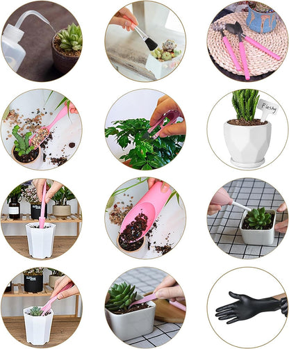 25Pcs Mini Garden Hand Transplanting Succulent Tools Set & mat