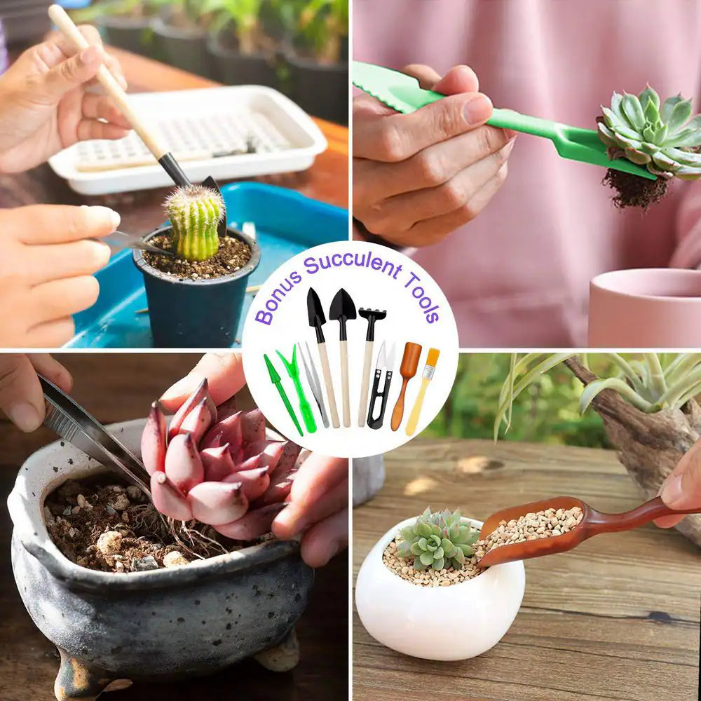 83 Piece Garden Tools Set with Succulent Tools Heavy Duty Aluminum Gardening Accessories