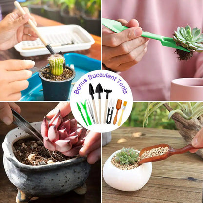 83 Piece Garden Tools Set with Succulent Tools Heavy Duty Aluminum Gardening Accessories
