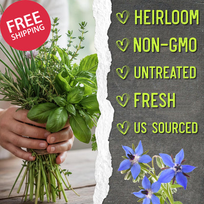 Herb Seeds Variety Pack Culinary Herb Collection (12 Individual Packets for Plan