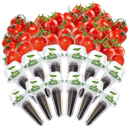 Cherry Tomato Seed Pods Kit for Aerogarden, 12 Pods Grow Anything Kit for Indoor