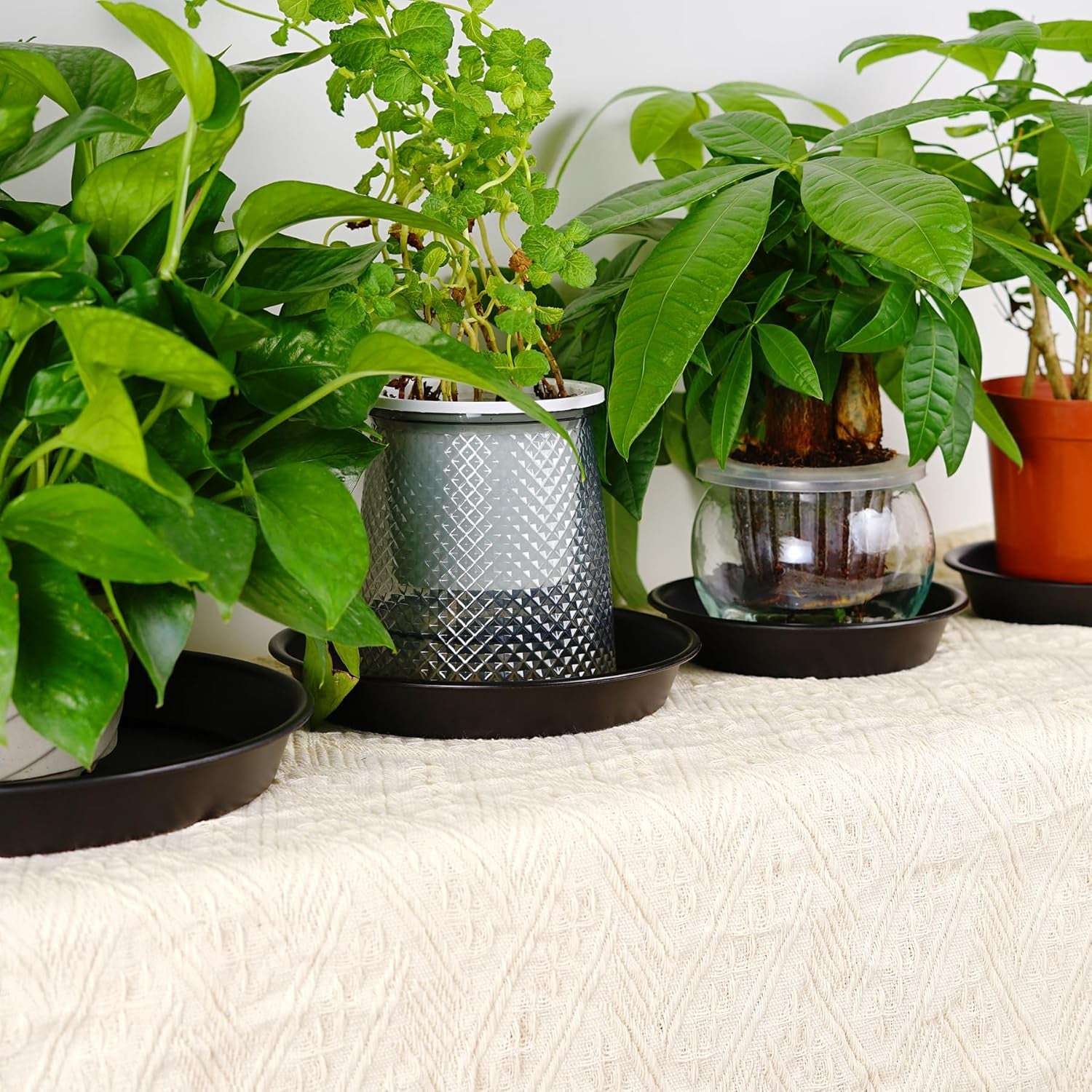 Plant Saucer 6 Inch of 3 Pack Black Heavy Duty Sturdy Plastic Plant Drainage Trays Planter Pot Drip Trays for Indoor Outdoor