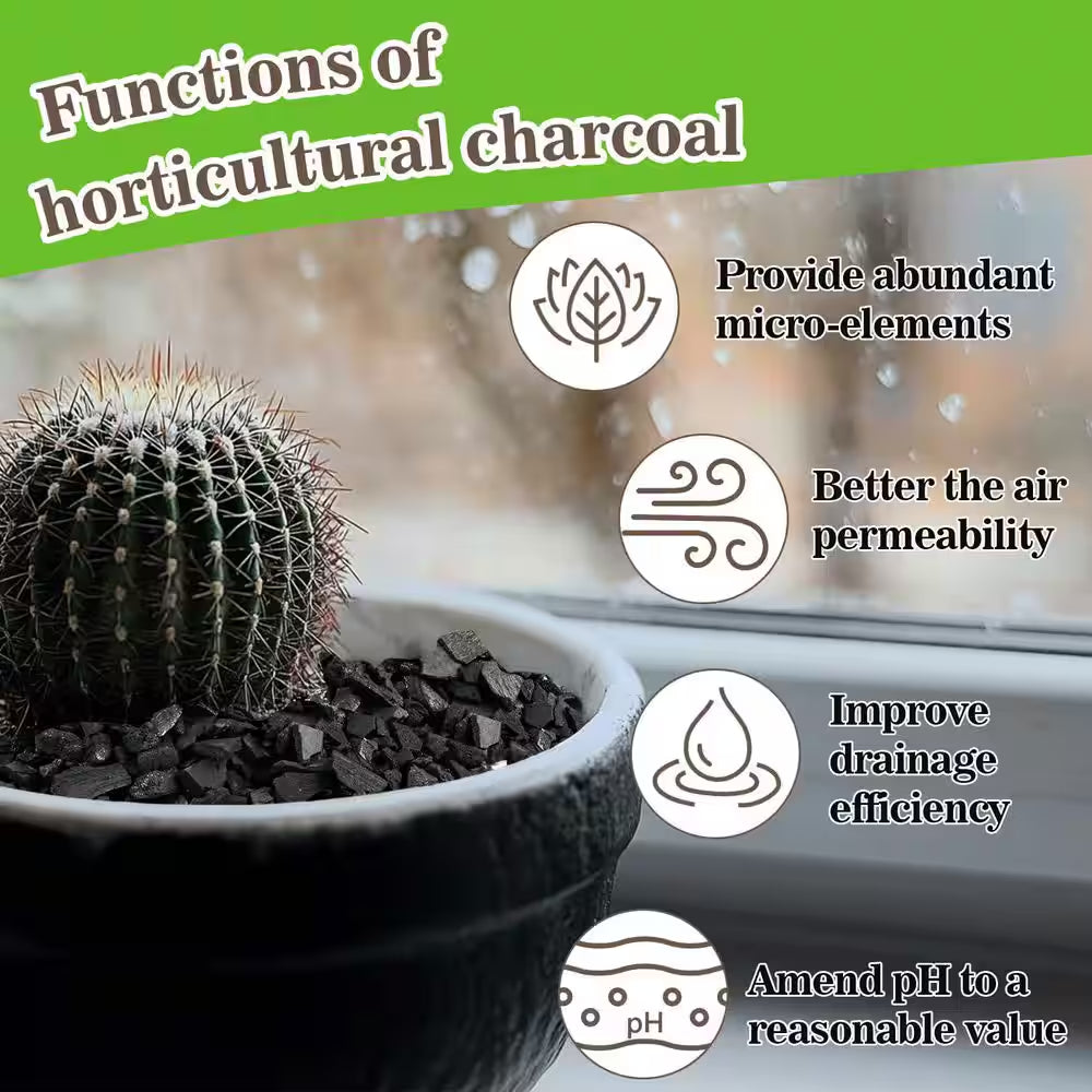 1 Qt. Natural Organic Charcoal Soil Amendments for Potting Soil Indoor Plants, Succulents and Terrarium Use (1-Pack)