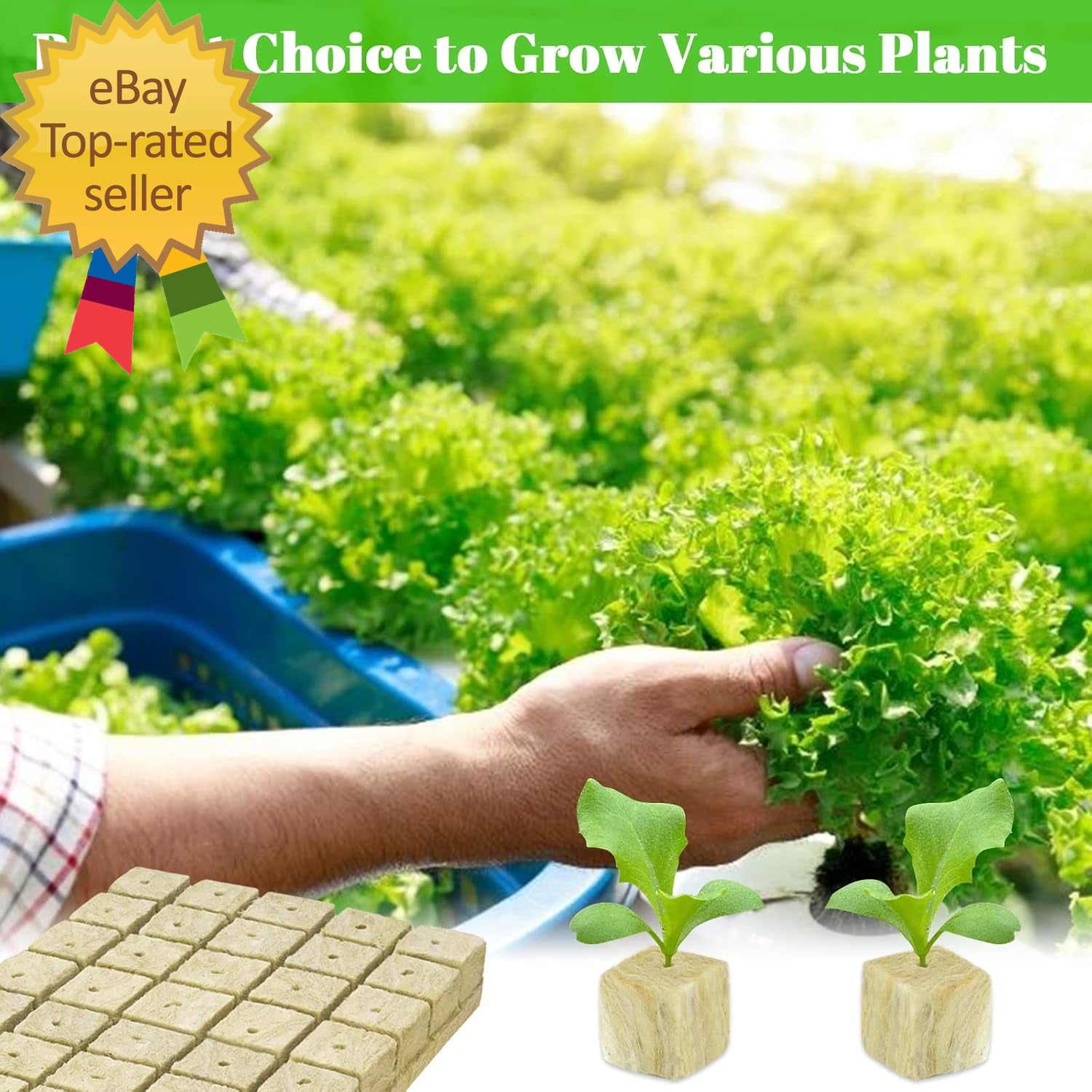 1 Inch Rockwool Cubes Seed Starter Plugs for Hydroponics Rockwool Planting