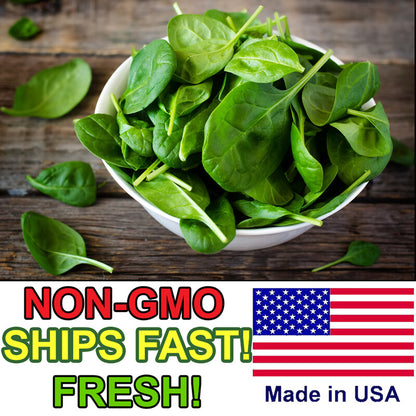 150+ Giant Noble Spinach Seeds | Non-Gmo | Heirloom | Fresh Garden Seeds USA
