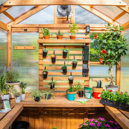 Bellerose 7.3 Ft. W X 14.75 Ft. L X 9.75 Ft. H All Cedar Greenhouse W/ Pergola and Temperature Activated Ventilation Fan