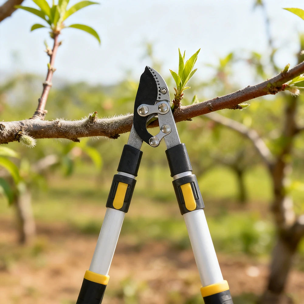 Garden Tree Pruning Shears High Branch Pruning Tool Long Reach Handle Fruit Picker Pruner Garden Tools