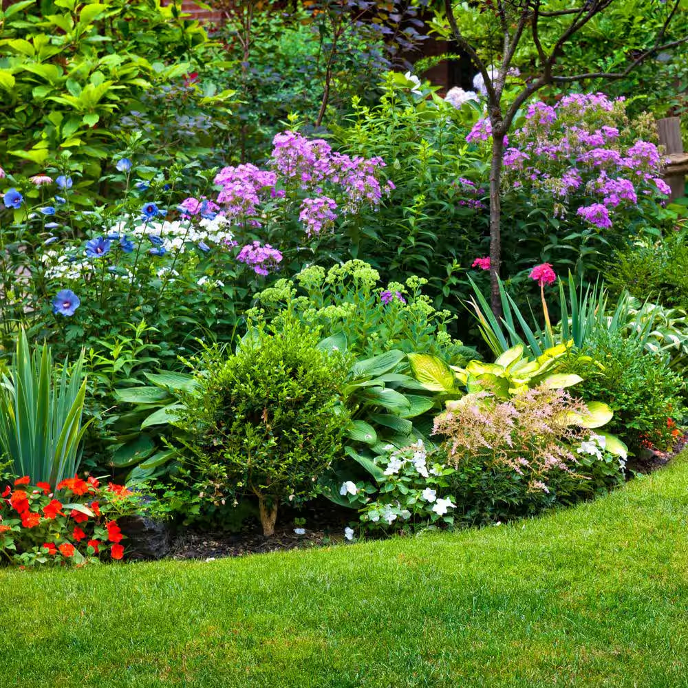 10 Lbs. Plant Saver Fertilizer for Planters and Potted Plants 4-7-4