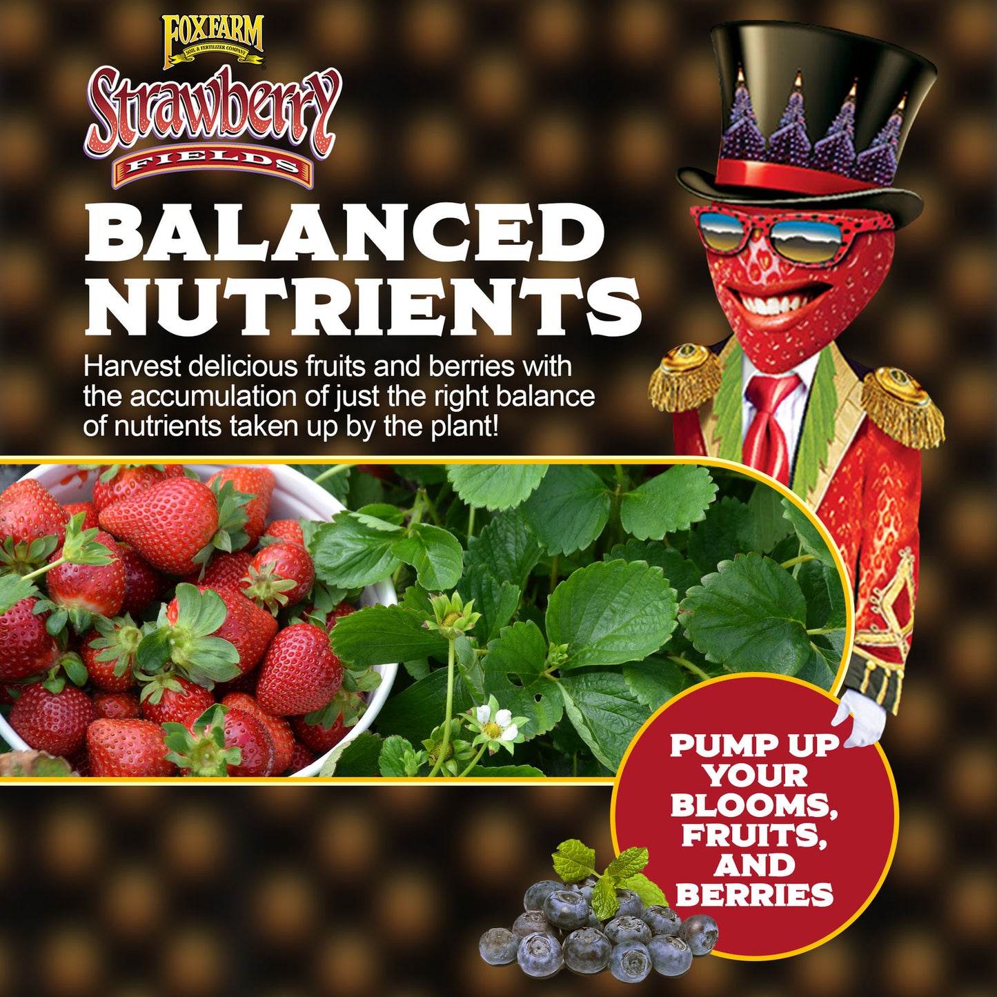 Foxfarm Strawberry Fields Fruiting & Flowering Potting Soil, 1.5Cu Ft (2 Pack)
