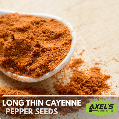 Hot Cayenne Pepper Heirloom Non-Gmo Seeds