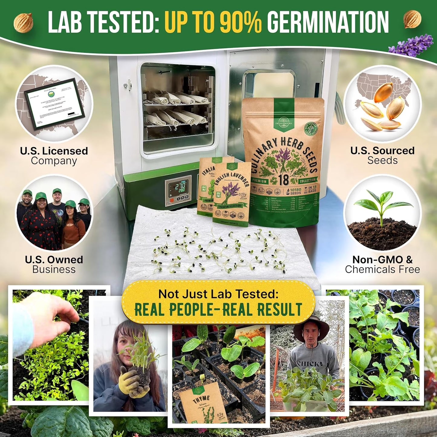 18 Culinary Herbs Seeds Variety Pack - 10,180+ Heirloom, Non-Gmo, Herbs Seeds