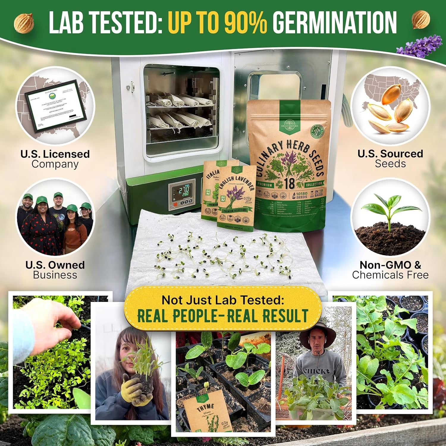18 Culinary Herbs Seeds Variety Pack - 10,180+ Heirloom, Non-Gmo, Herbs Seeds