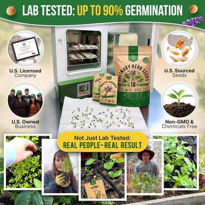 18 Culinary Herbs Seeds Variety Pack - 10,180+ Heirloom, Non-Gmo, Herbs Seeds