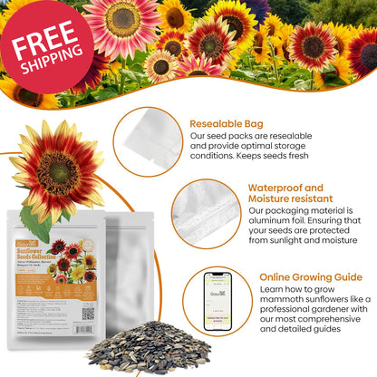 Sunflower Seeds for Planting, 15+ Varieties, 1 Oz, 300+ Mixed Seeds to Plant Col