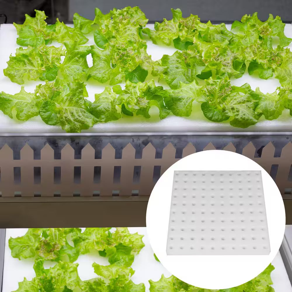 200-Piece Hydroponic Sponges Soilless Cultivation Sponge for Greenhouse, Indoor/Outdoor Planting with Net Cup Pots