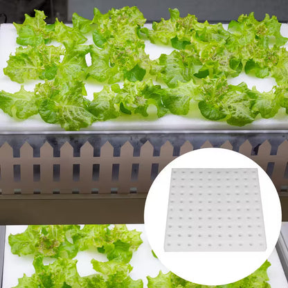 200-Piece Hydroponic Sponges Soilless Cultivation Sponge for Greenhouse, Indoor/Outdoor Planting with Net Cup Pots