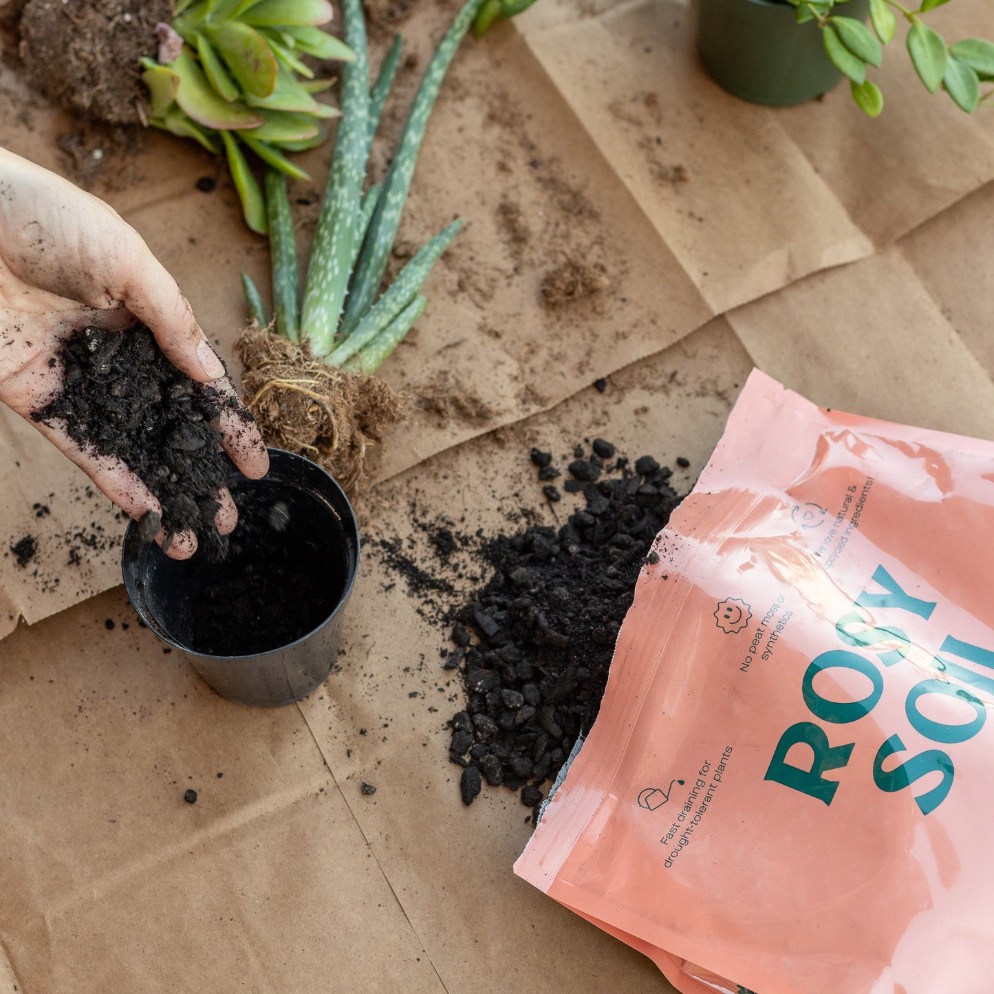 Cactus & Succulent Soil – 4 Quart 3-Pack