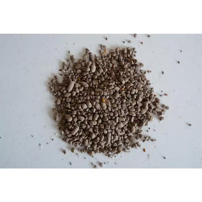 2 Lbs. Pollinator All-In-One Wildflower Mix with Seed, Plant Food and Soil Conditioners