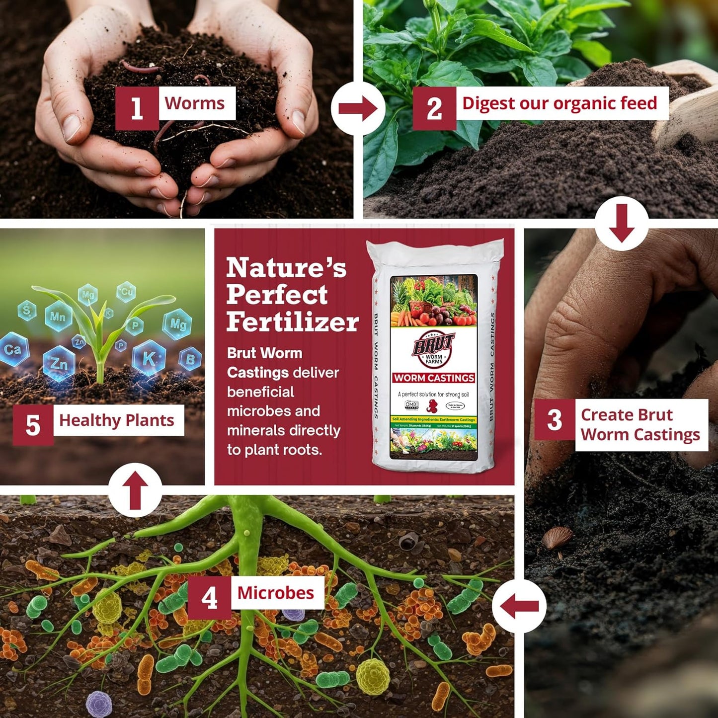 30 LB Organic Worm Castings, Natural Fertilizer for Indoor Outdoor Plants – Compost Soil Control, Mineral-Rich Potting Mix Additive Plant Food for Soil Health and Garden Growth