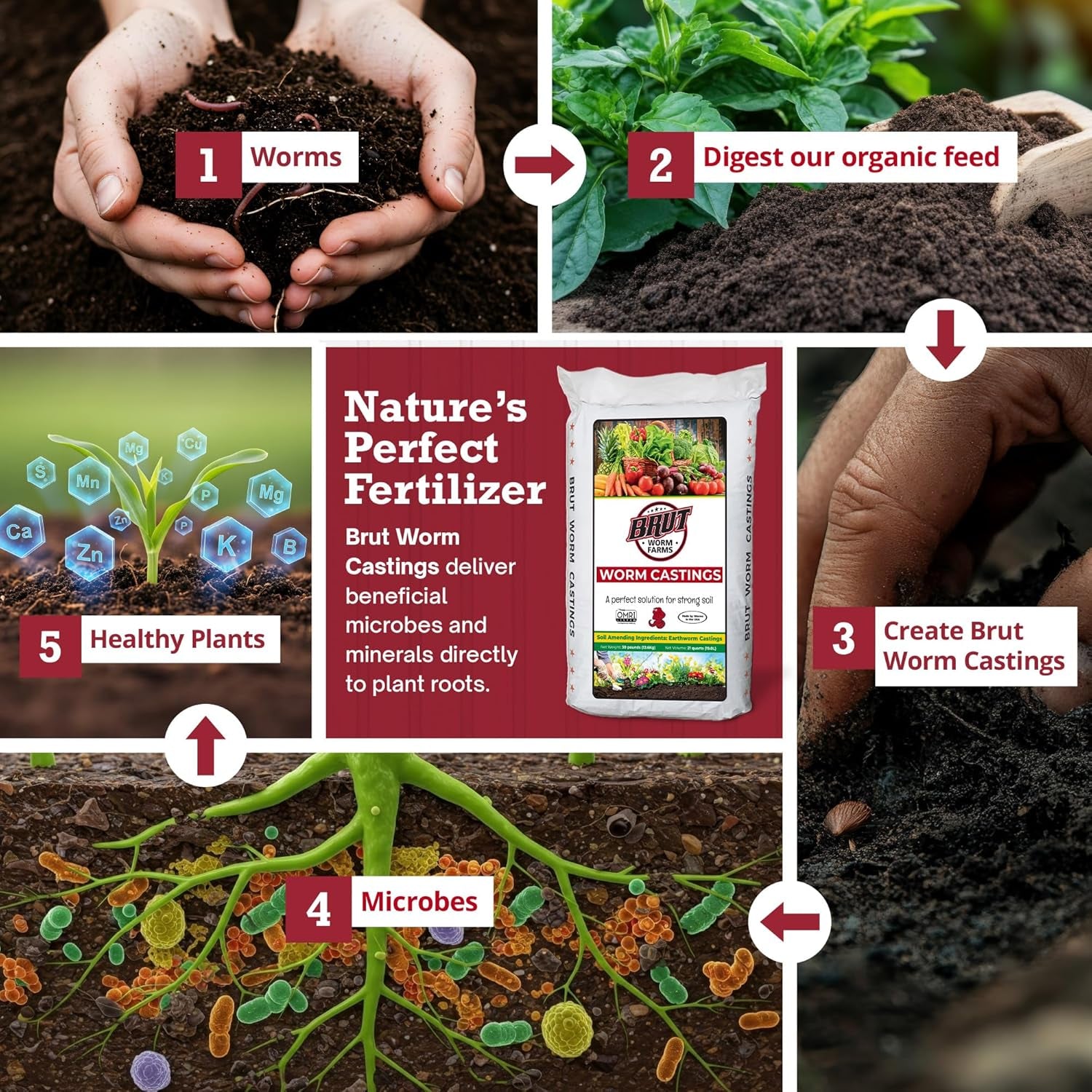 30 LB Organic Worm Castings, Natural Fertilizer for Indoor Outdoor Plants – Compost Soil Control, Mineral-Rich Potting Mix Additive Plant Food for Soil Health and Garden Growth