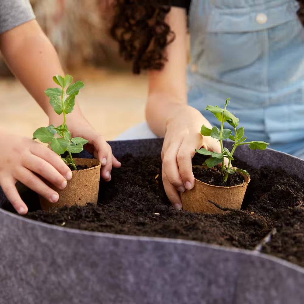 Organic and Plantable Seed Starter Kit Pots (24Ct)