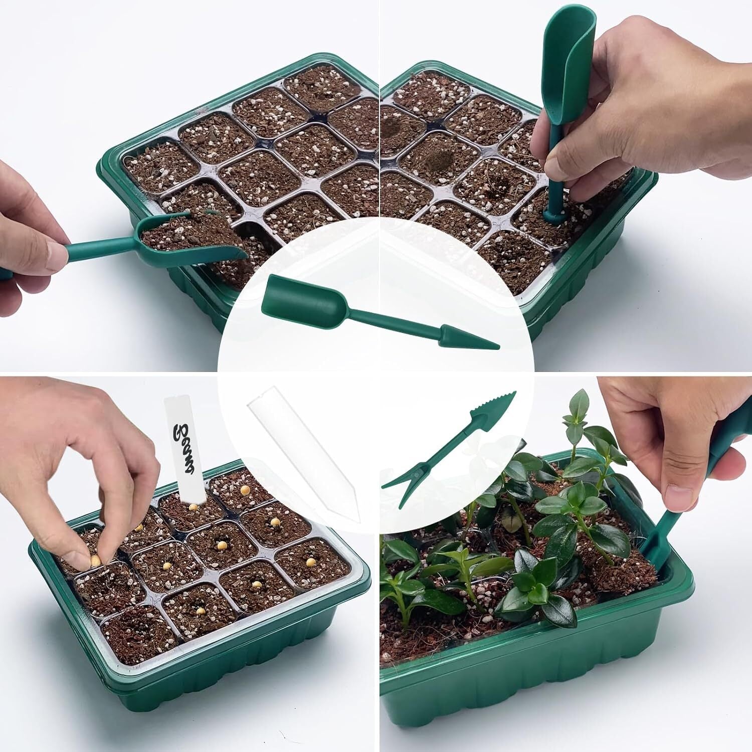 Seed Starter Tray with Plant Light, 4 Pack Grow Lights for Seed Starting Kit Wit