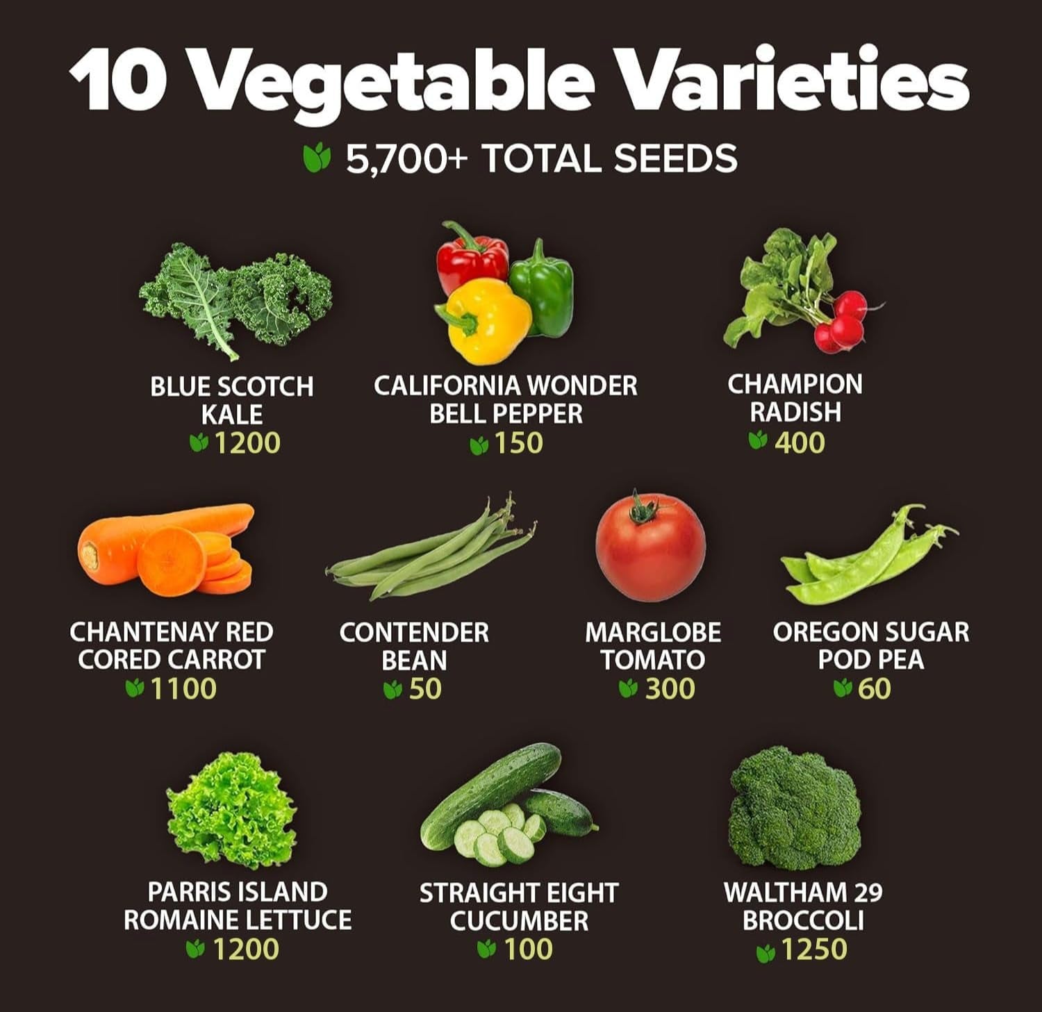 10 Variety Survival Seed Vault 2000+ USA Grown Heirloom Non-Gmo Vegetable Seeds for Planting, High Germination, Garden Starter Kit, Emergency Food Supply, Indoor Outdoor