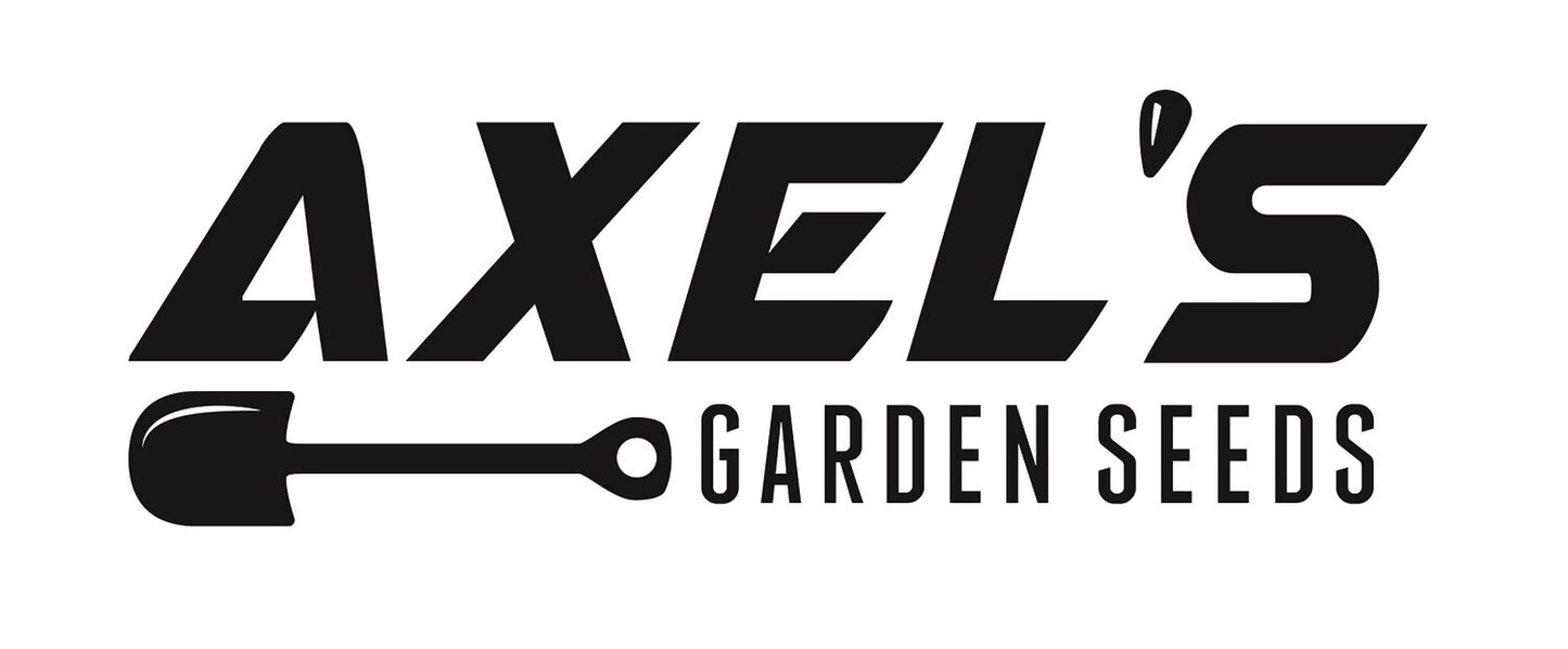 Slow Bolt Arugula Seeds for Planting - Heirloom Non GMO Herbs for Home Garden