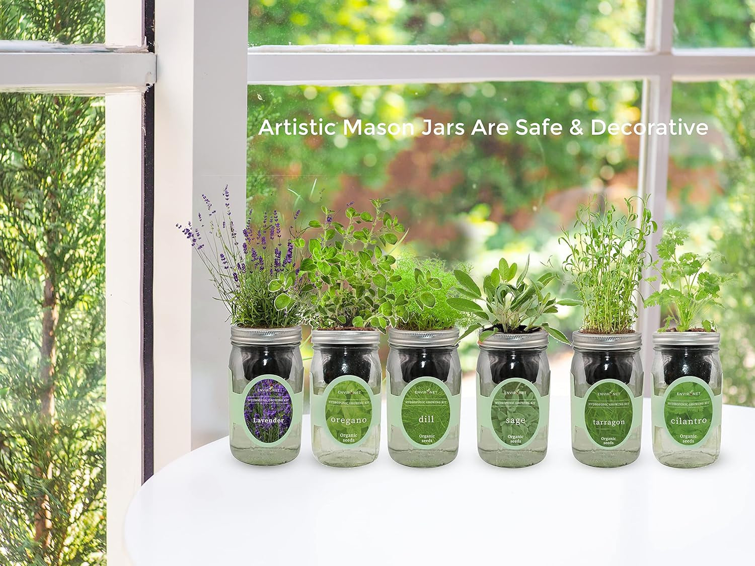 Hydroponic Herb Growing Kit, Self-Watering Mason Jar Herb Garden Starter Kit Indoor, Windowsill Herbs Garden, New Christmas Grden Gift for Mom (Tarragon)