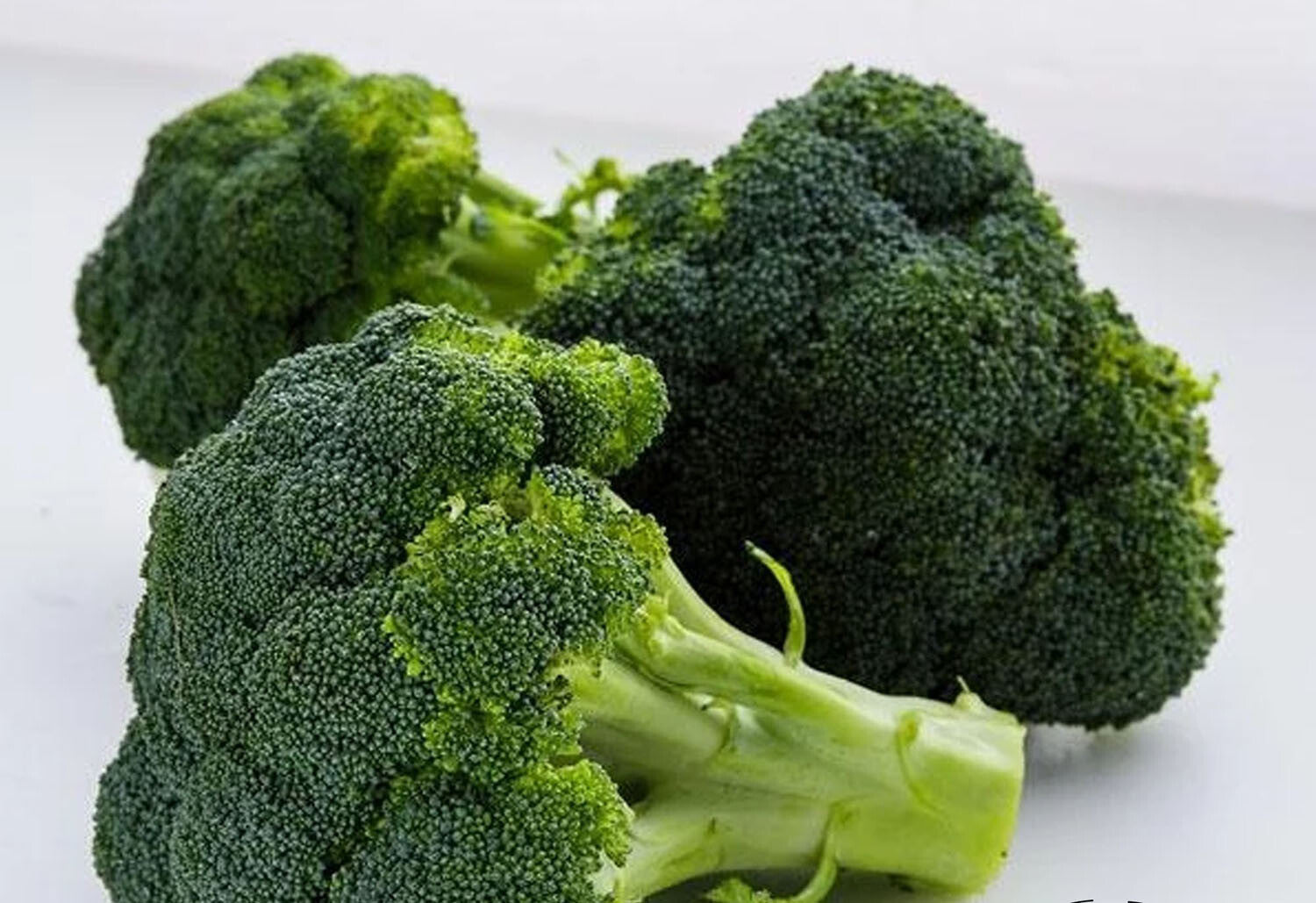 200+ Broccoli Seeds Waltham Broccoli Non GMO Fresh Garden Vegetable USA