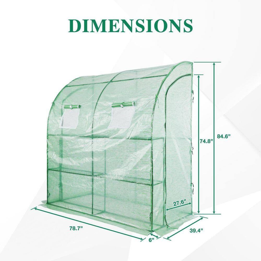 40 In. W X 79 In. D X 85 In. H Outdoor Lean-To Walk-In Tunnel Portable Greenhouse with Shelf, Green
