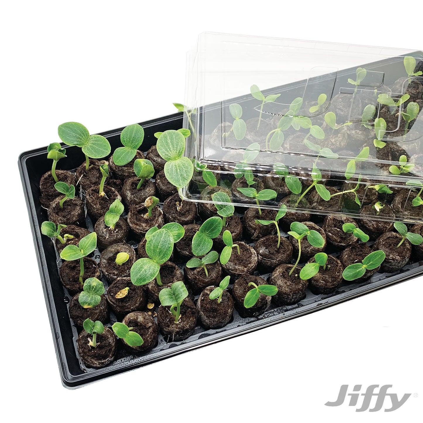 72 Cell Greenhouse Seed Starter Kit with 36Mm Peat Pellets