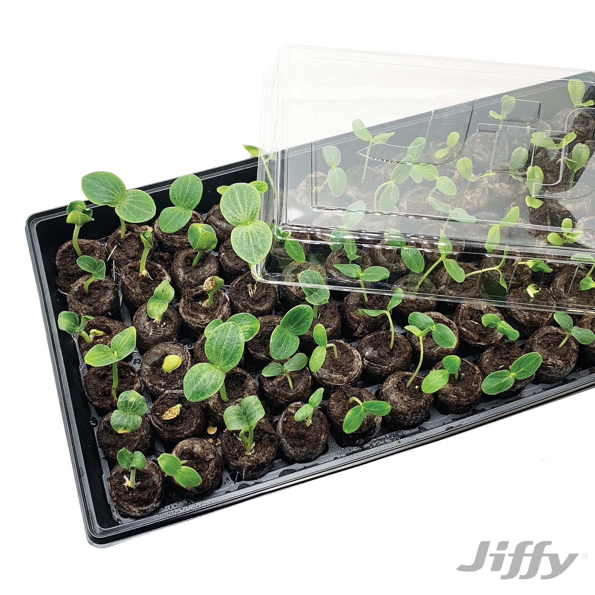 72 Cell Greenhouse Seed Starter Kit with 36Mm Peat Pellets