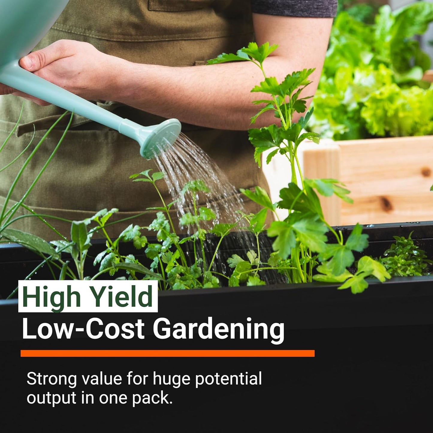|15,000 Heirloom Seeds | 18 Seed Types | Survival Seeds | 2026 Season | Non GMO Vegetable and Fruit Seeds | Planting Outdoor & Indoor Garden