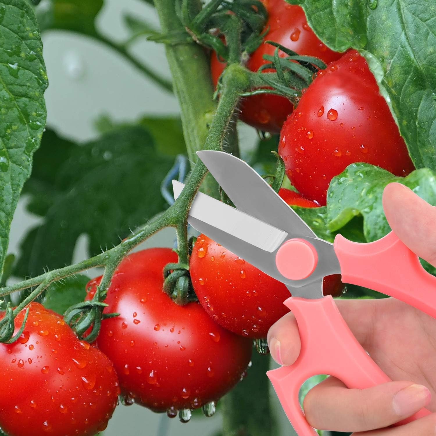 Flower Scissors, Strong Floral Shears, Premium Steel Garden Pruning Shears Garden Scissors Floral Fruits Leaf Scissors Hand Pruner Snip Trimming Tool for Gardening Flower Arrangement, Pink
