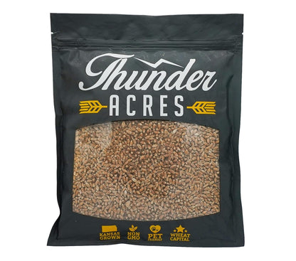 Wheat Seed, Glysophate Free, Non GMO, Wheatgrass, Hard Red Winter Wheat Berries (5Lbs)