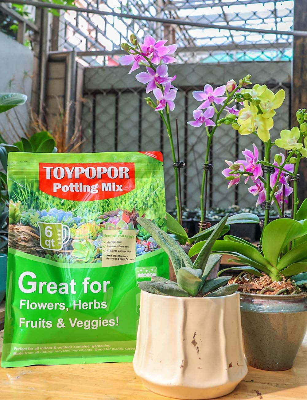 Orchid Potting Mix with Bark, Perlite, Coco Peat for Indoor Repotting