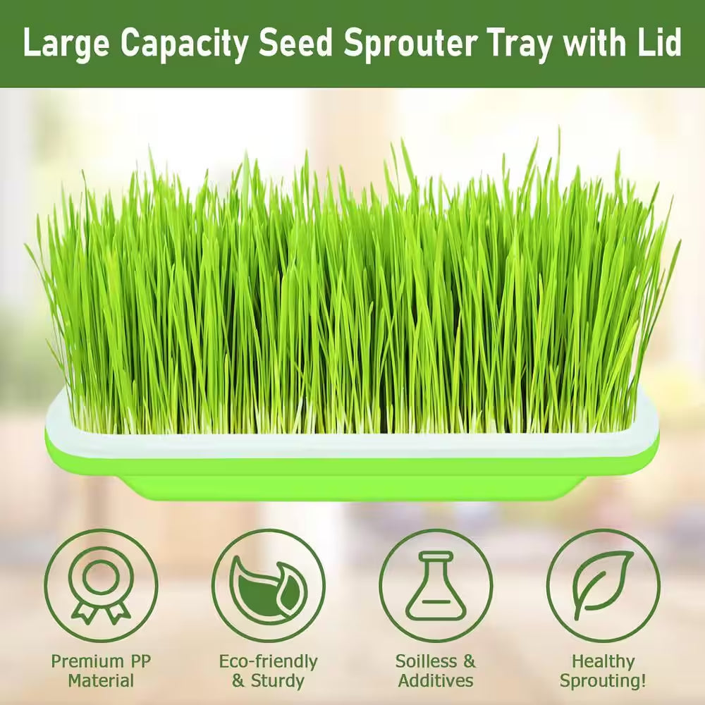 10 Pack Green Seed Sprouter Trays Soil-Free Germination Nursery Tray with Planting Paper for Indoor Outdoor Use